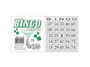 BINGO CARTELA P/ BINGO 11X10 PACOTE C/ 12